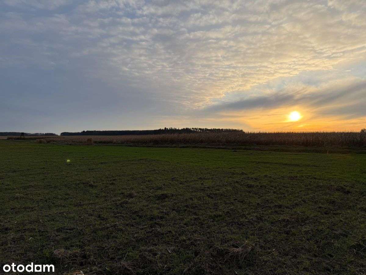 Działki rolne na sprzedaż | bliskość rzeki-3