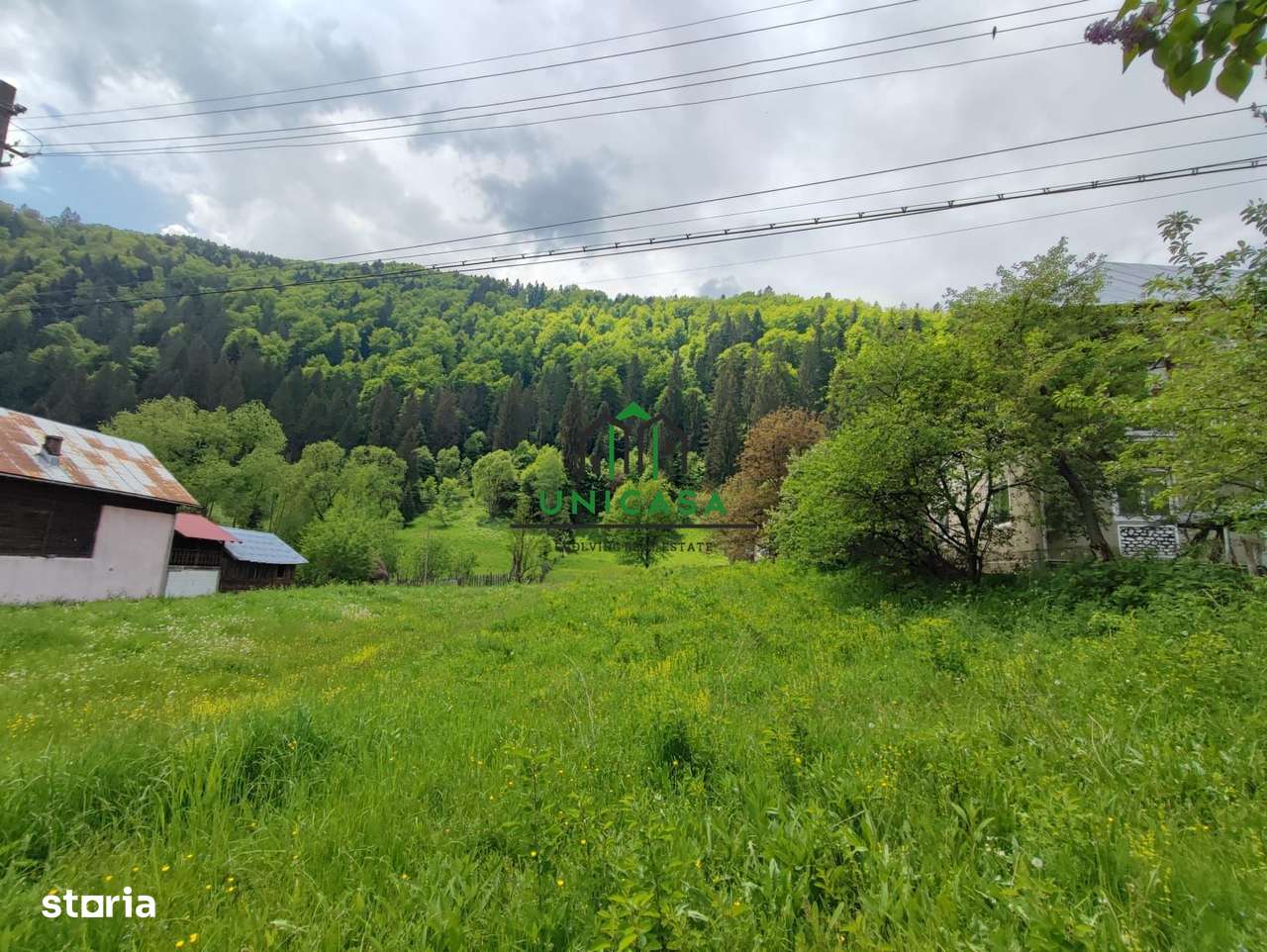 Teren Voineasa/Intravilan/5500 mp - Imagine principală: 4/4