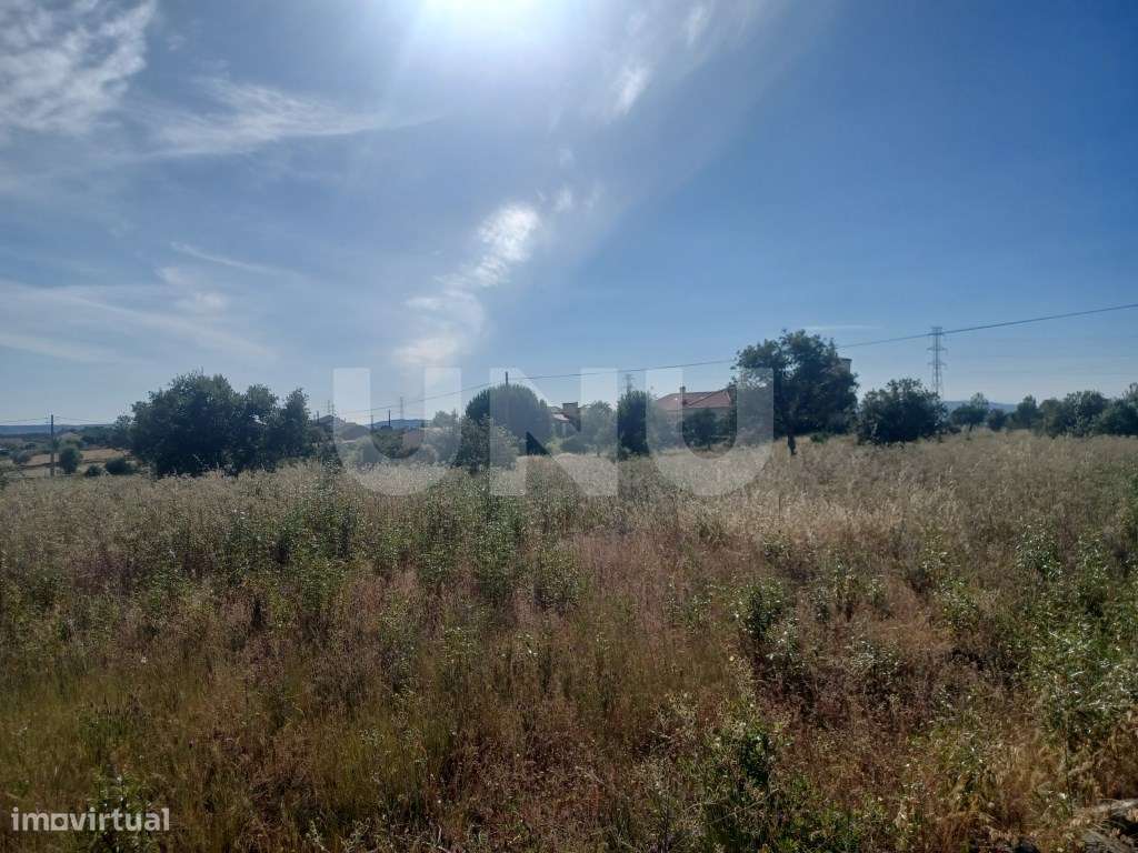 Terreno rústico com 8.160m2 em Sarnadas de Ródão - Grande imagem: 3/4