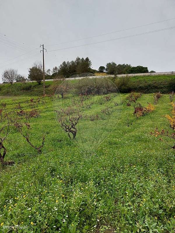 Terreno  para venda-6
