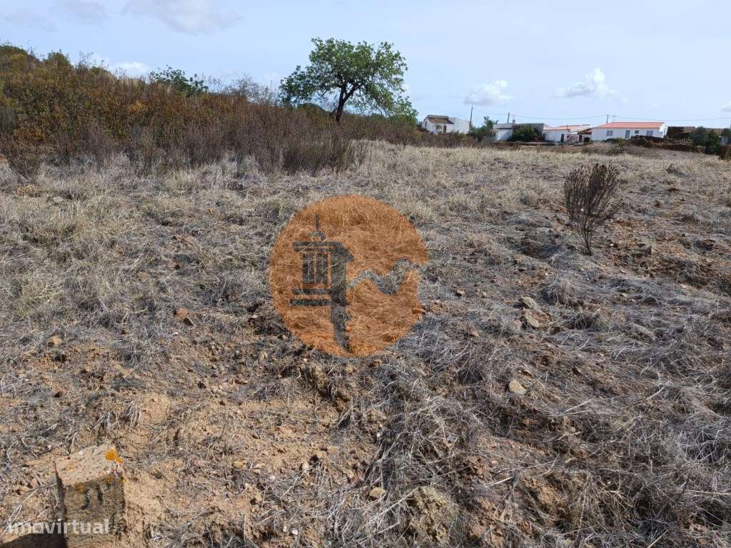 Terreno Rústico com 3.200 m2 sito na Murteira de Baixo, Azinhal em ... - Grande imagem: 3/20