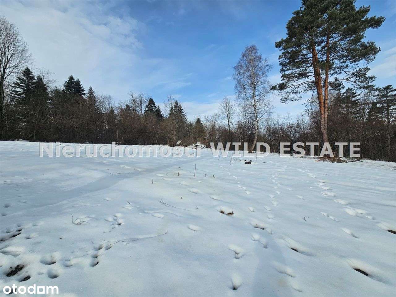 Działka, 1 026 m², Czarna Dolna-2