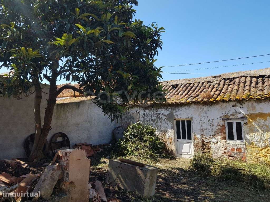 Moradia Independente de 4 assoalhadas, adega e logradouro para remo... - Grande imagem: 4/20