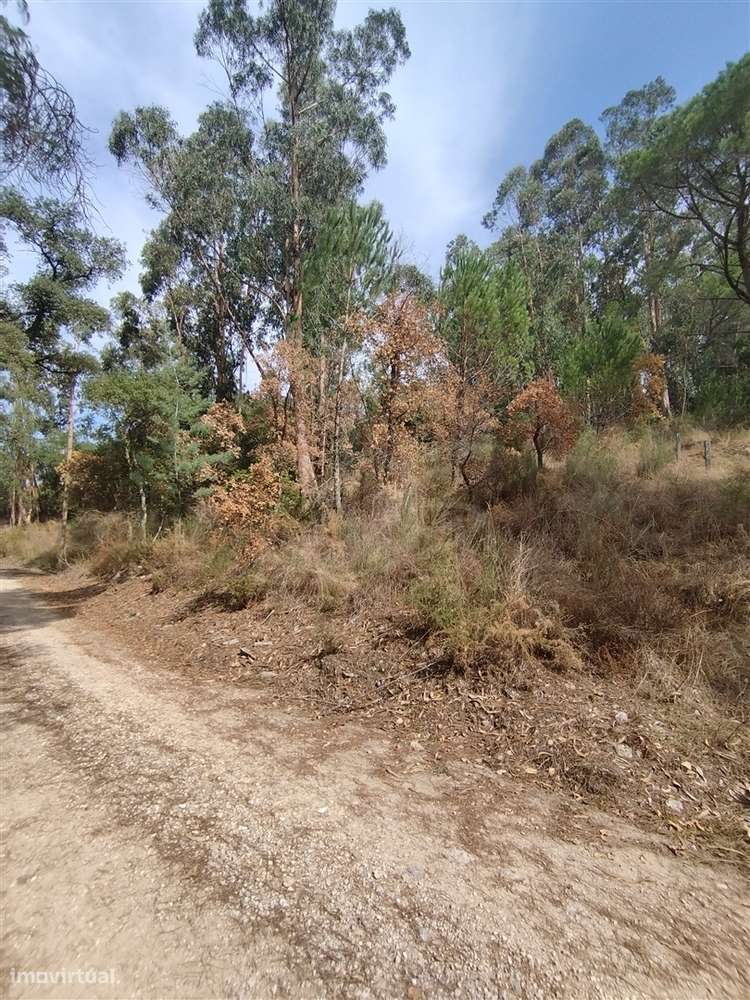 🏡 Com Projeto para 2 Moradias - Grande imagem: 2/11