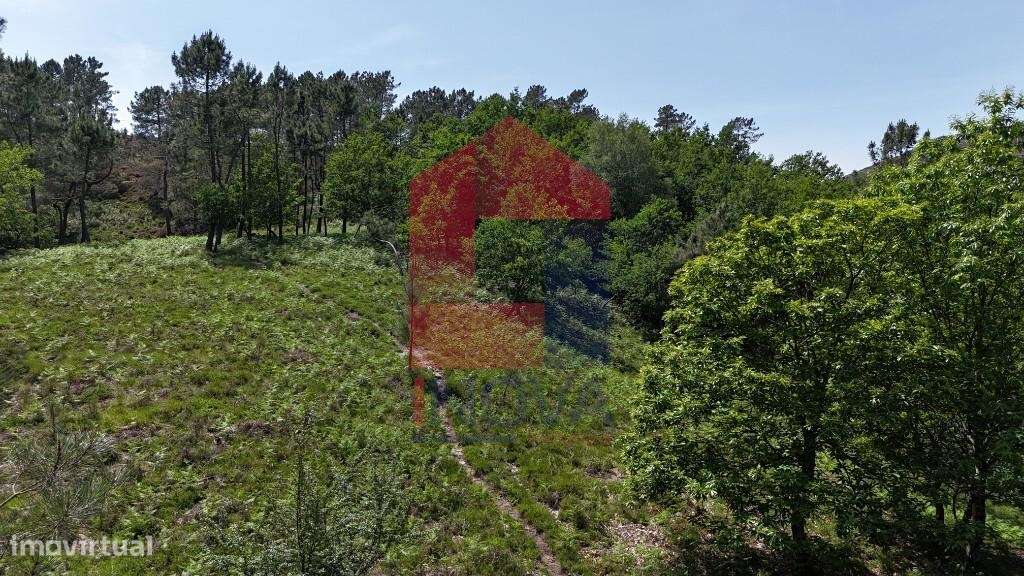 Terreno para projeto Turístico, Gerês-22
