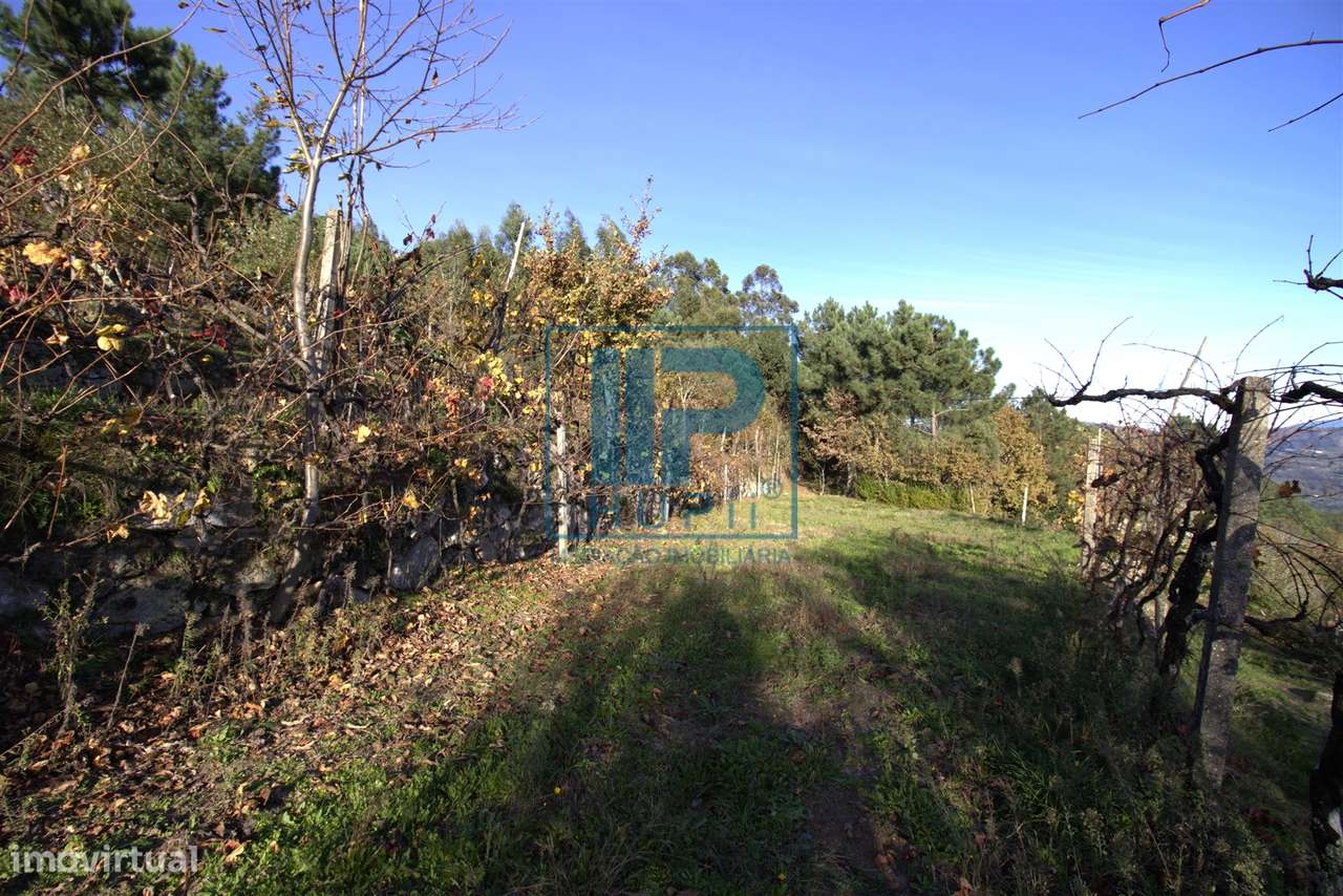 Moradia T3+1 Venda em Penhalonga e Paços de Gaiolo,Marco de Canaveses-50