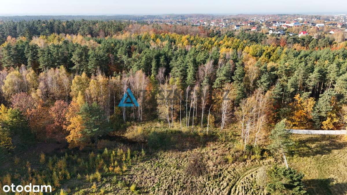 Działki graniczące z lasem Otomin - Pełny obrazek: 5/20