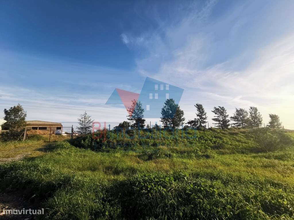 Terreno Rústico Venda Beja - Grande imagem: 1/4