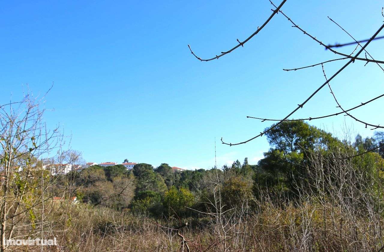 63000m2 Loteamento pré aprovado - Grande imagem: 5/9