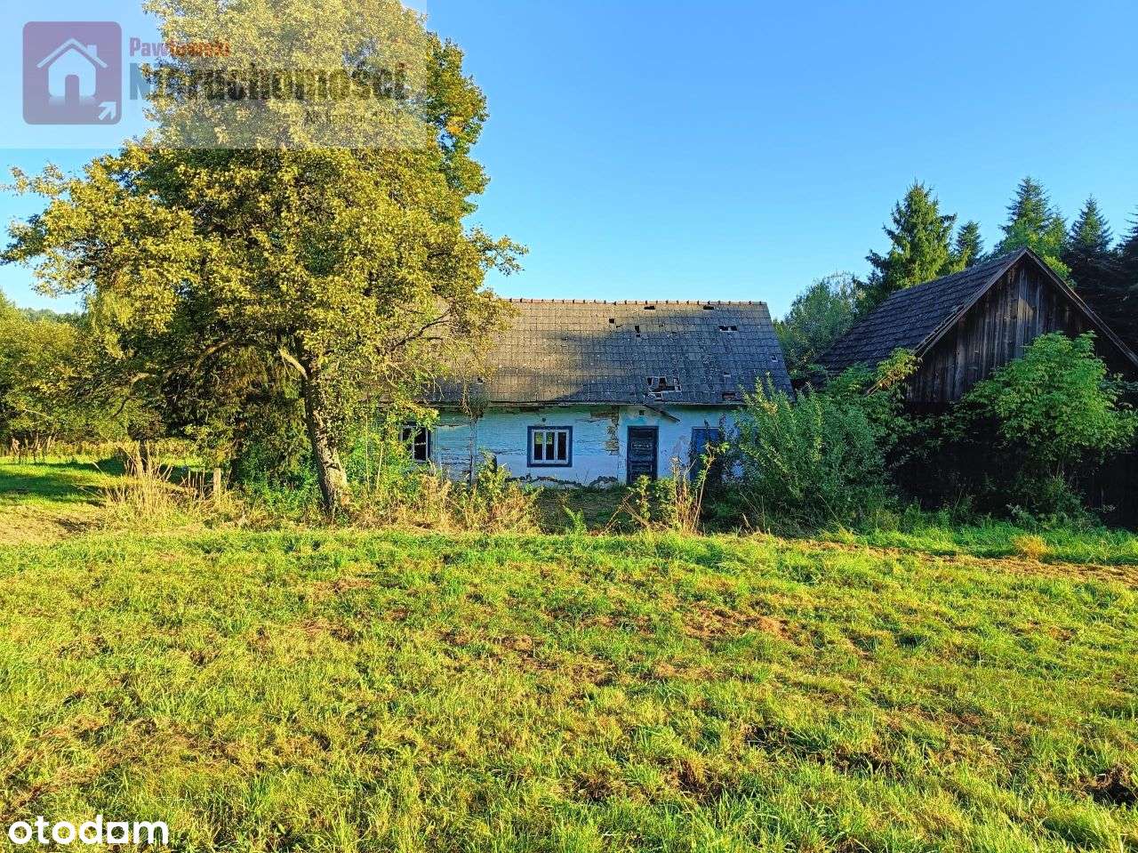 Dom na leśnej polanie - Pełny obrazek: 2/9