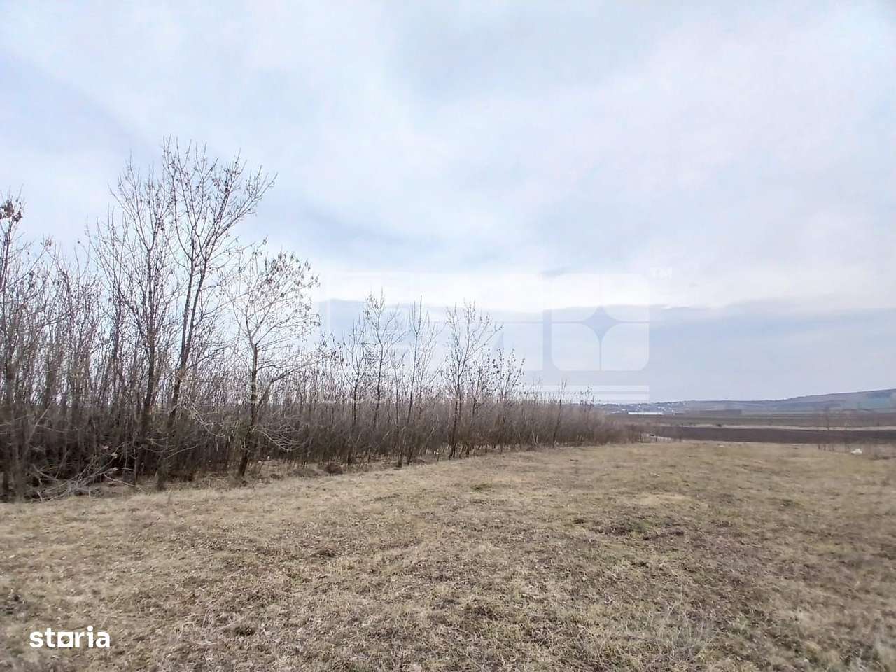 Teren DN2 | Preț: 3.100 €/arul I Suceava - Imagine principală: 4/5