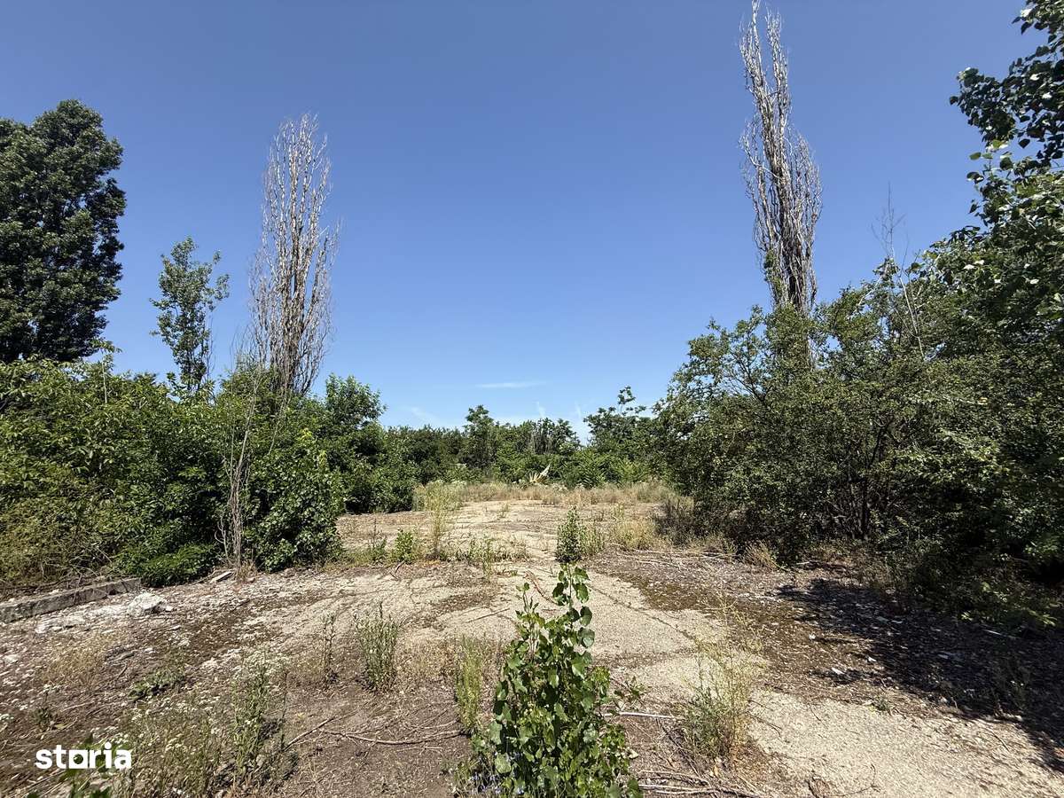 VÂNZARE Teren pentru Investiții- 4900mp|Dezvoltare|Bragadiru - Imagine principală: 1/8