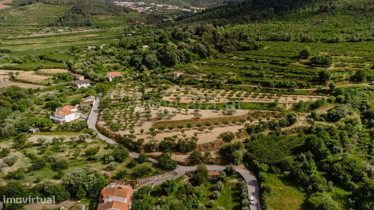 Terreno / Fundão, Fundão-15