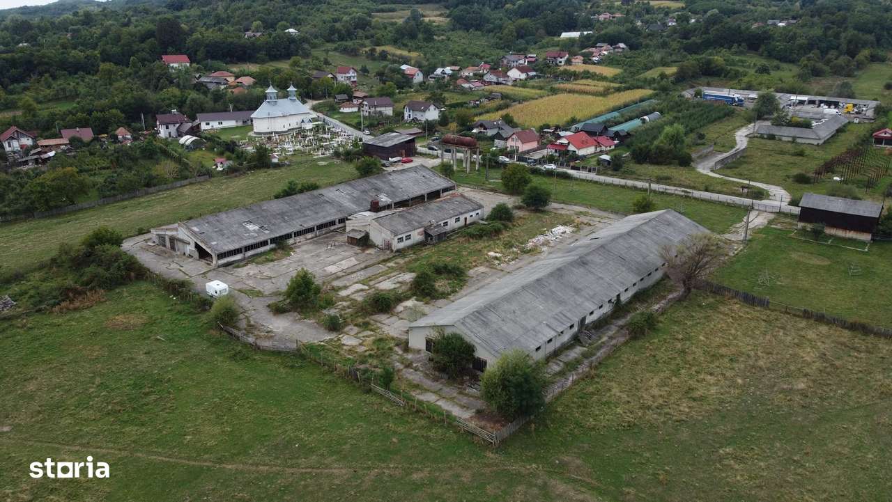 Hale de vânzare in comuna Ciofrângeni, județ Argeș. - Imagine principală: 5/8
