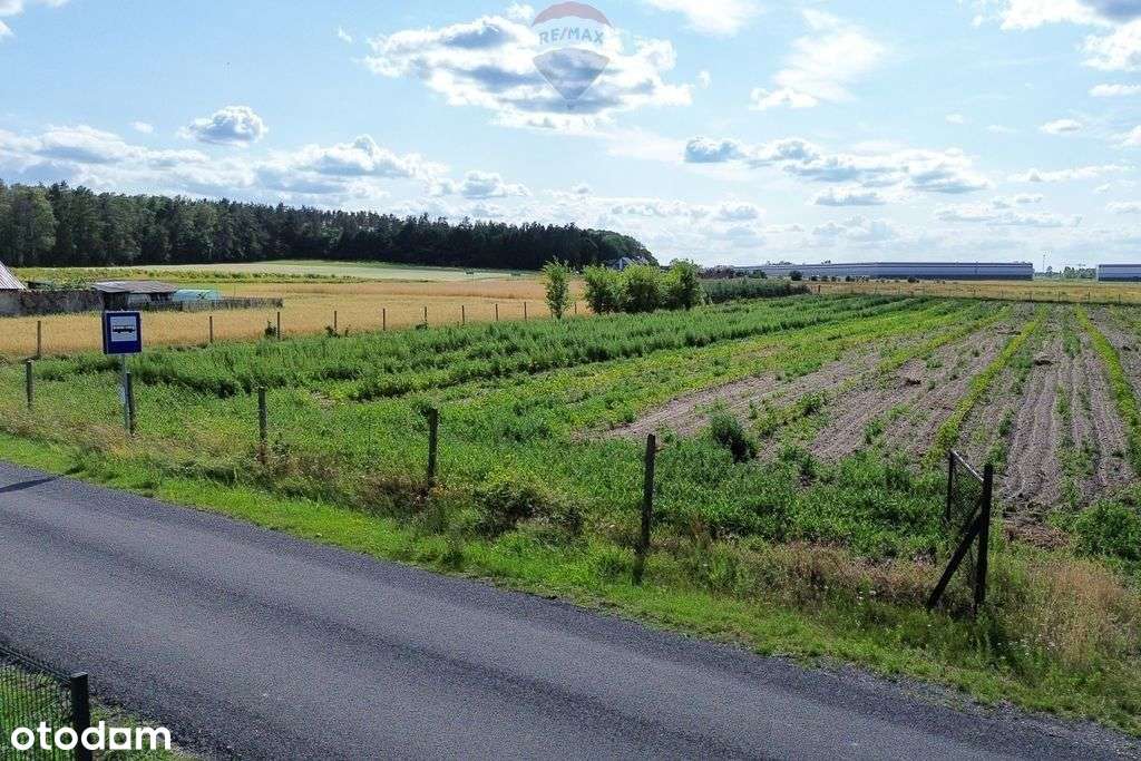 Teren 8000m2 podzielony na działki Wz k.Mszczonowa - Pełny obrazek: 5/12