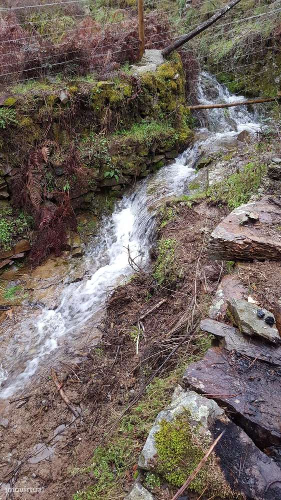 Quinta 5.3 ha, Covilhã-55