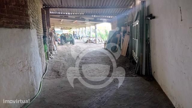 Moradia com grande quintal  - Lote 1960 m2-27