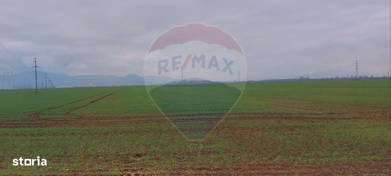 Comision 0 %! Teren extravilan, 21,175 mp Hărman - Imagine principală: 2/6