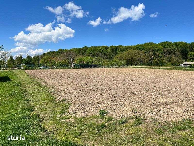 Vand teren intravilan 3300 mp zona Ionaseni - Imagine principală: 5/5