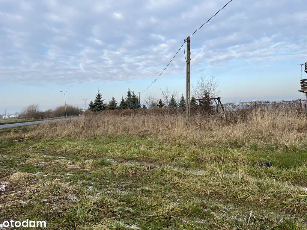 Działka budowlana na obrzeżach Sokołowa - Pełny obrazek: 4/7