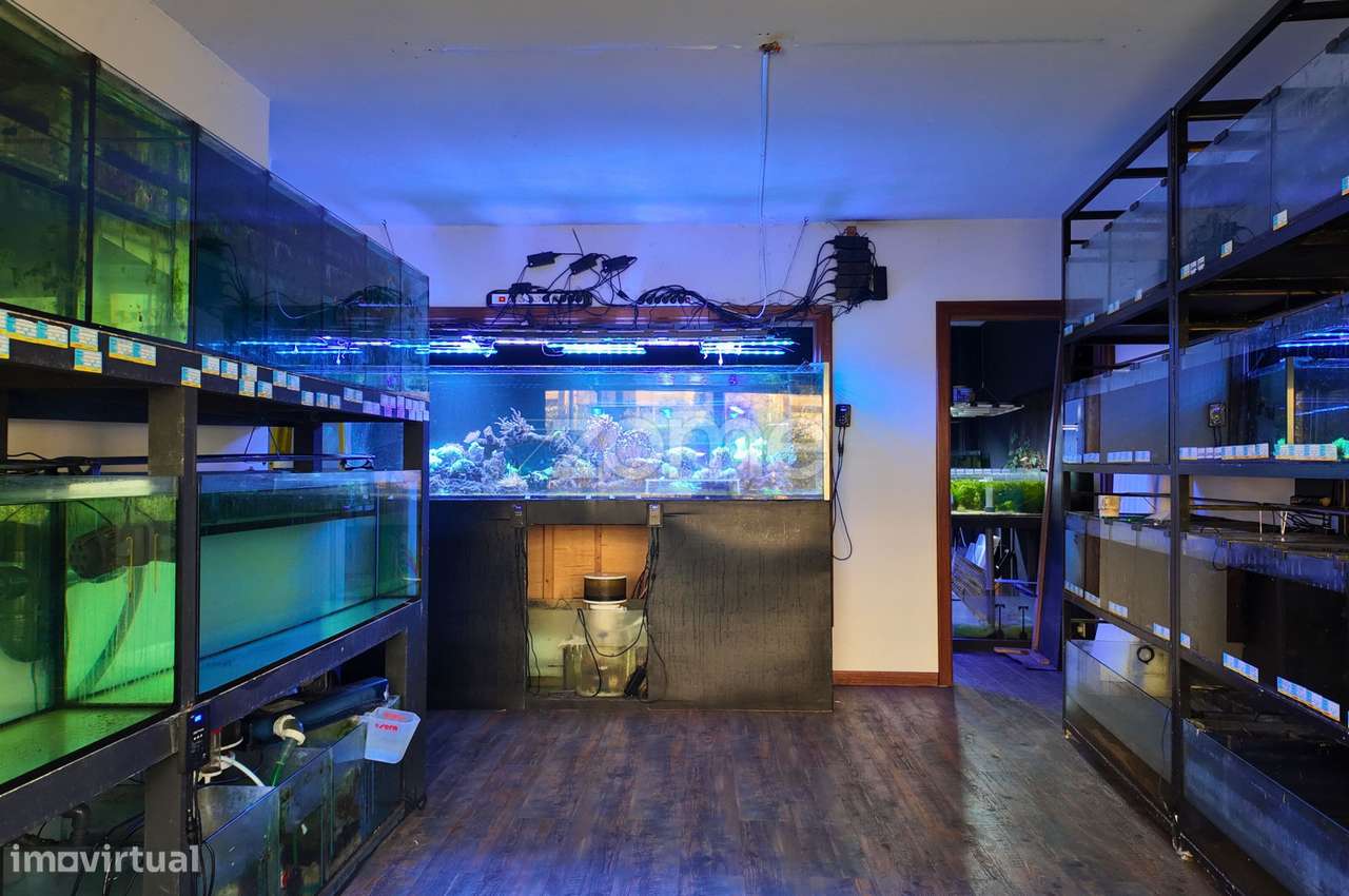 Trespasse de Loja na Maia – Excelente Oportunidade - Grande imagem: 2/16