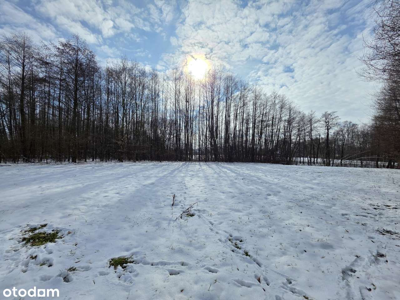 Działka 19 arów – idealna na rekreację | Wójtowa-1
