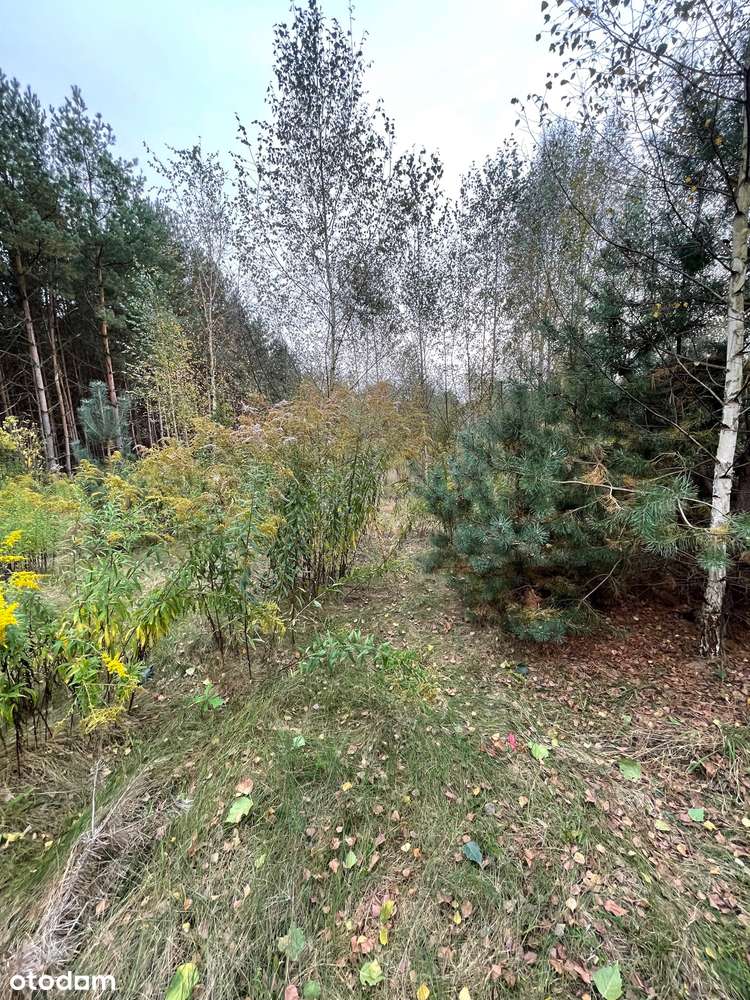 Pozwolenie na budowę 12 domów-2