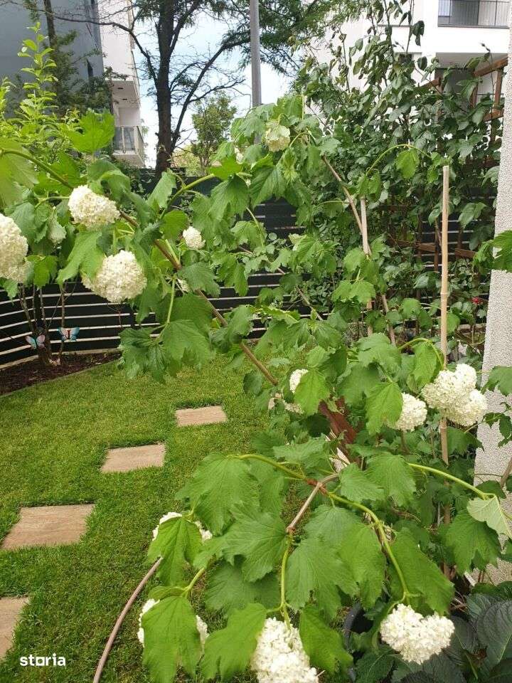 Vanzare 3 camere Natura Residence 167 mp + 2 locuri de parcare-10