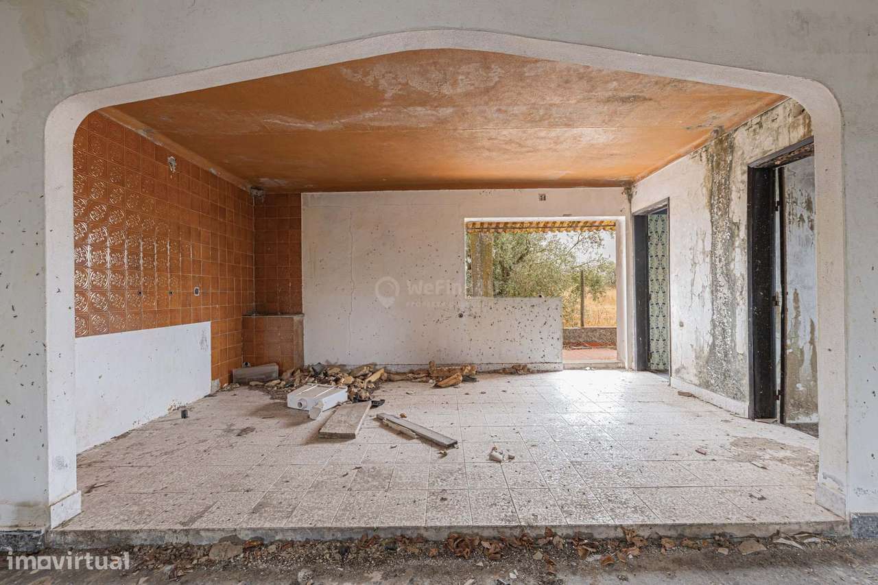 Quinta do Sol - Pegões-6