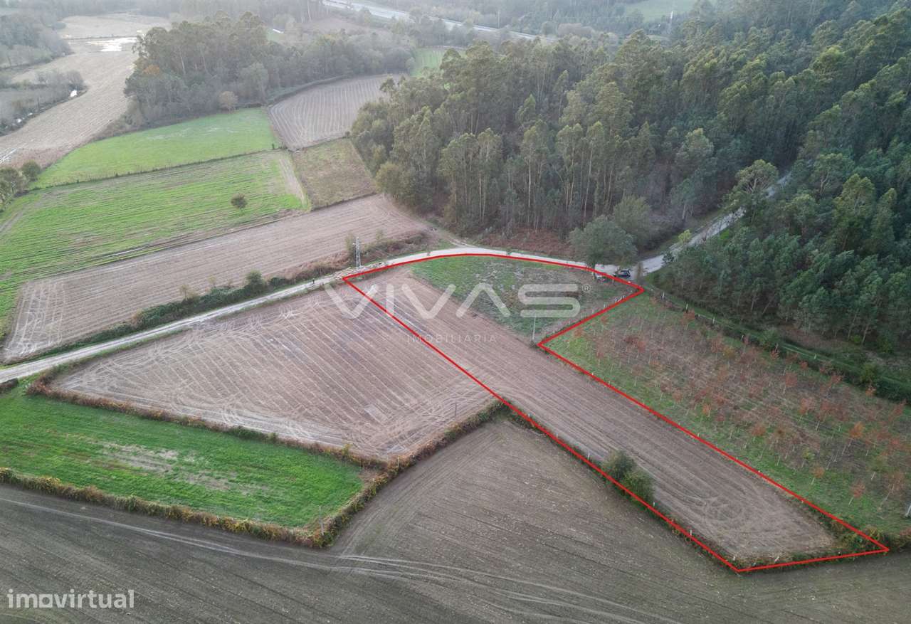 Terreno Rústico  Venda em Associação de freguesias do Vale do Neiva,Po - Grande imagem: 4/15