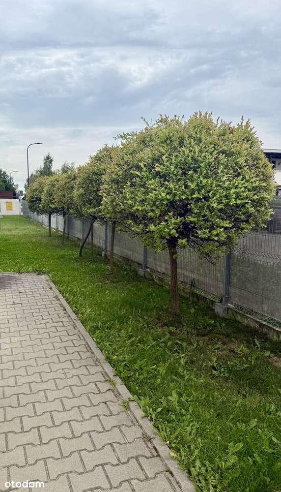 Apartament dwupoziomowy pięknie wykończony-10