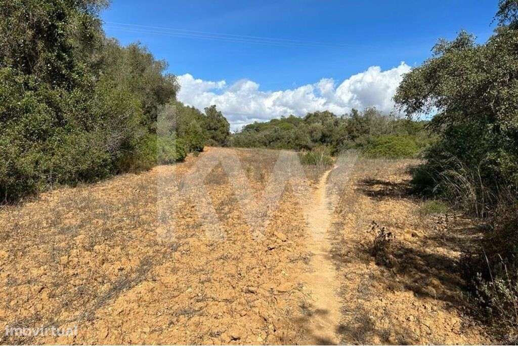 Terreno Rústico em Vale de El Rei, Lagoa -Perto das Praias - Grande imagem: 3/15