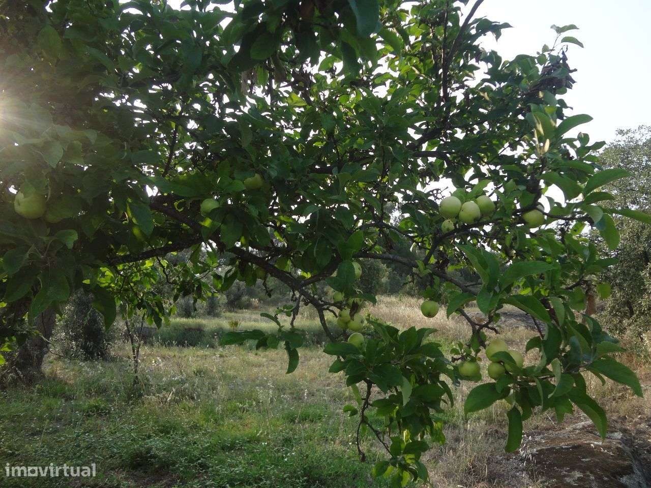 Terreno - Grande imagem: 5/6