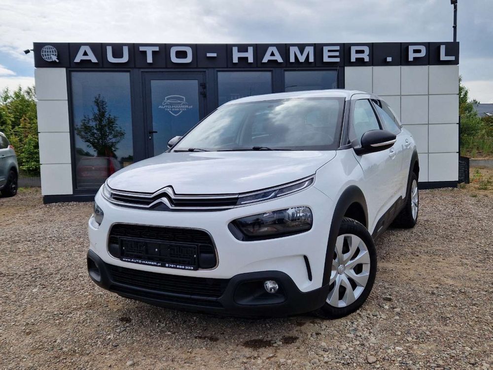 Citroën C4 Cactus 1.5 BlueHDi Shine Pack 2019