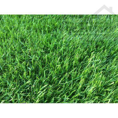 Duża działka w Walendowie - Pełny obrazek: 4/4