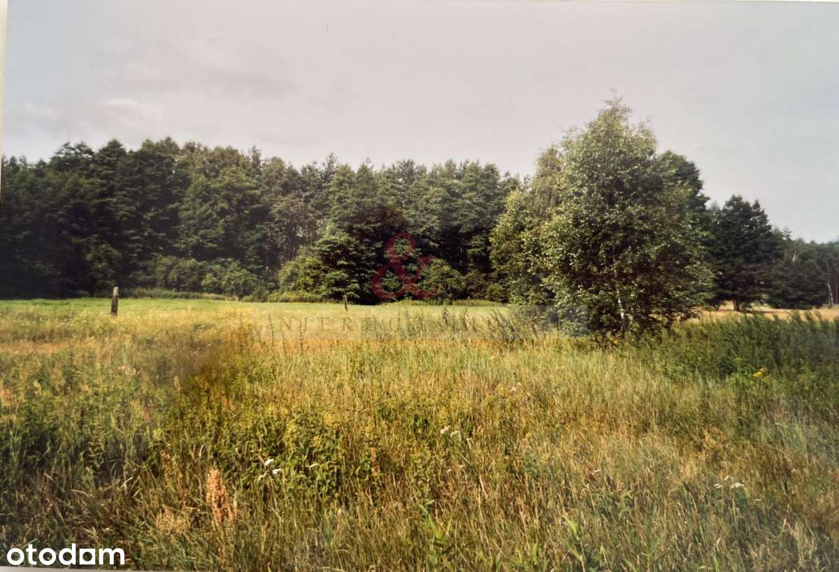 Urokliwa działka rolna w sercu natury - Pełny obrazek: 4/13