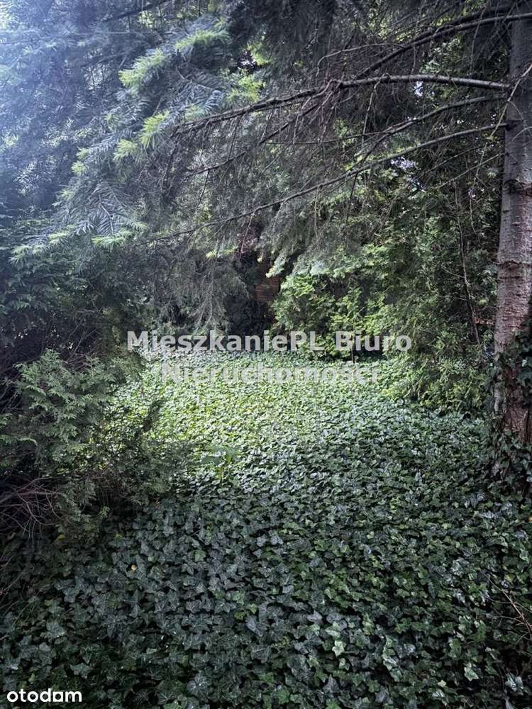 Atrakcyjny dom Sosnowiec Klimontów-18