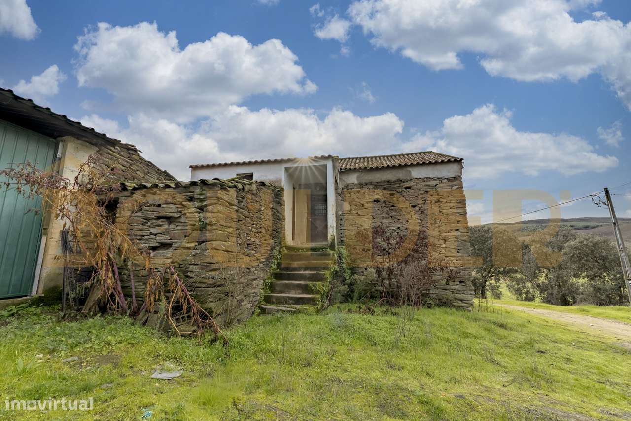 Quinta do Arieiro - Cedovim | Vila Nova de Foz Côa | Douro Superior-31