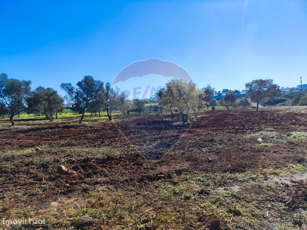 Terreno  para venda