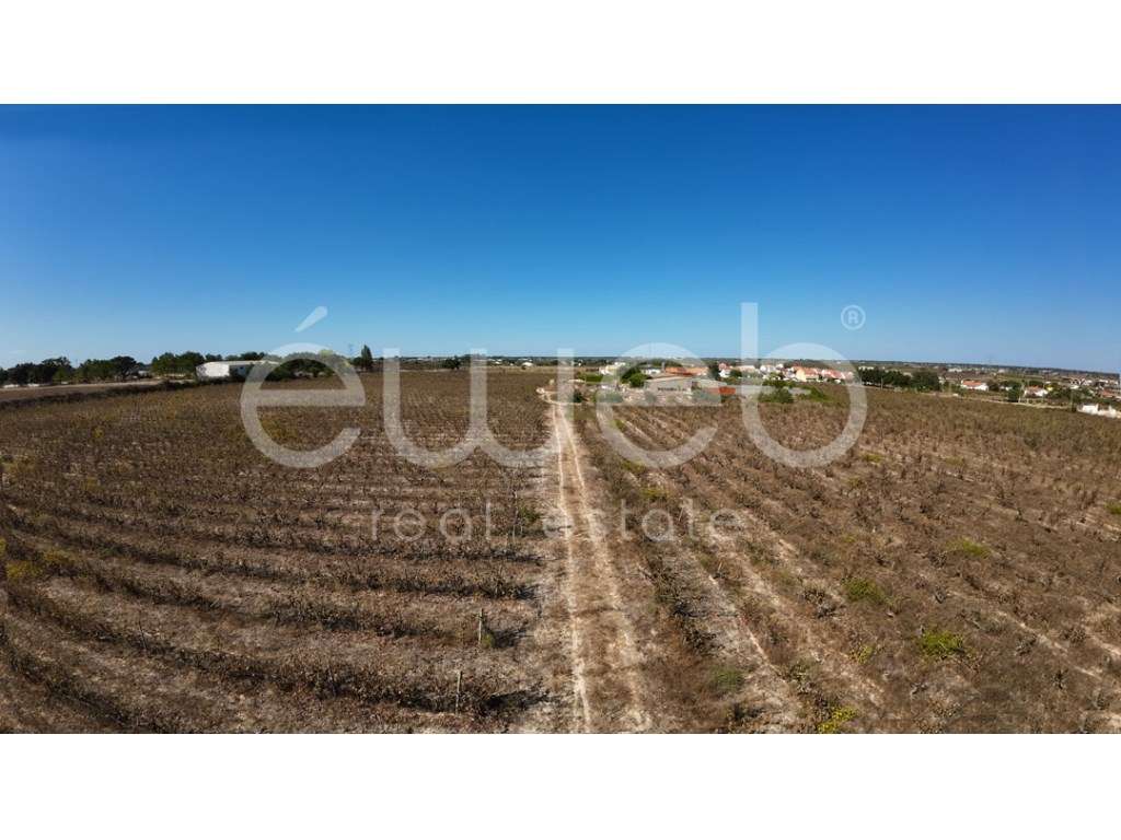 Terreno, Bairro Margaça, Águas de Moura - Grande imagem: 3/10