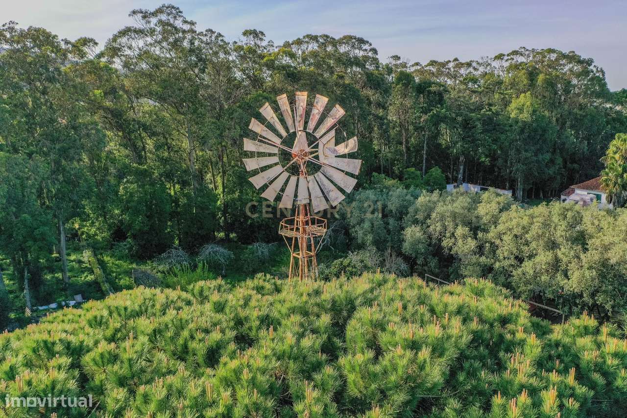Moradia de charme T5 com Garagem e Terreno em Abrunheira, Sintra - Grande imagem: 4/57