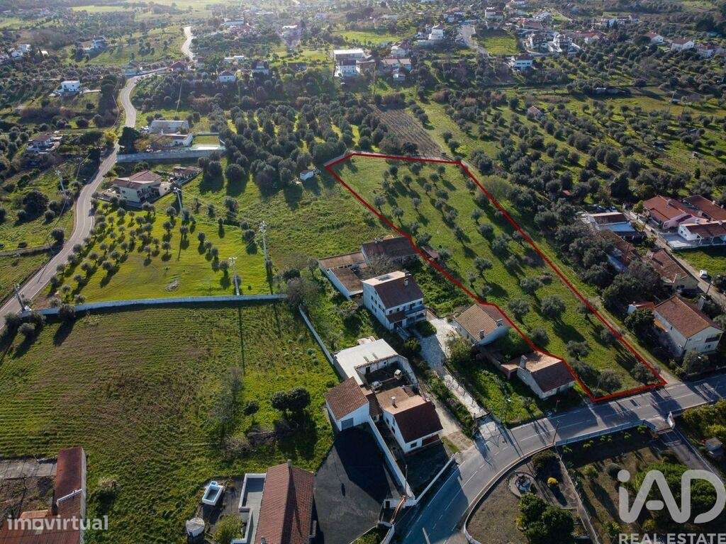 Terreno em Tomar (São João Baptista) e Santa Maria dos Olivais de 6000 - Grande imagem: 2/30