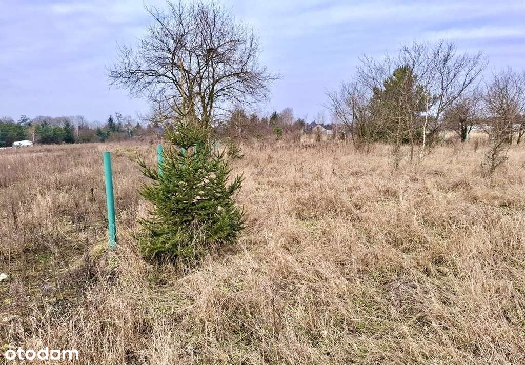 Działka budowlana w Pniewach-3