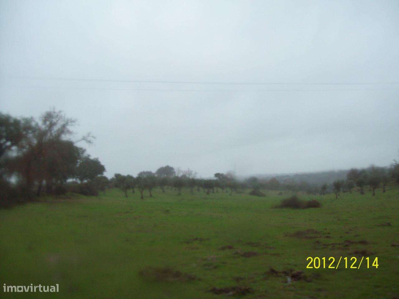 Herdade do Monte da Pedra.-12