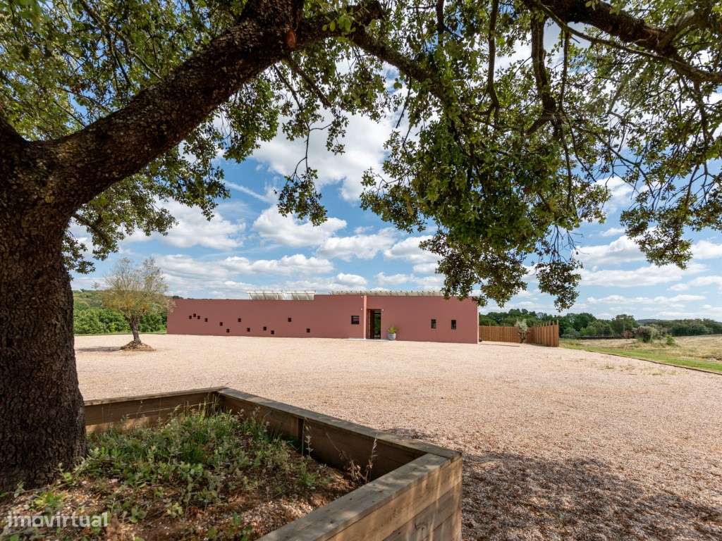 Um Refúgio Exclusivo no coração do Alentejo | Montemor-o-Novo | Por...-6