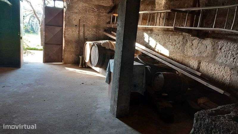 Casa de Quinta Minhota - Grande imagem: 4/12