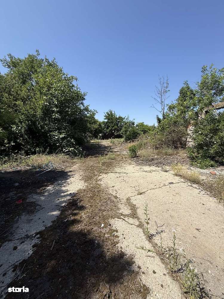 VÂNZARE Teren Case|Blocuri - 2300 mp-|Dezvoltare Bragadiru - Imagine principală: 3/9