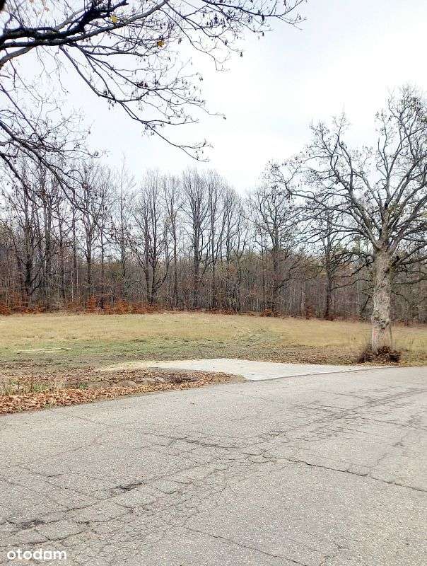 Dzialka na skraju lasu. Mpzp. - Pełny obrazek: 4/7