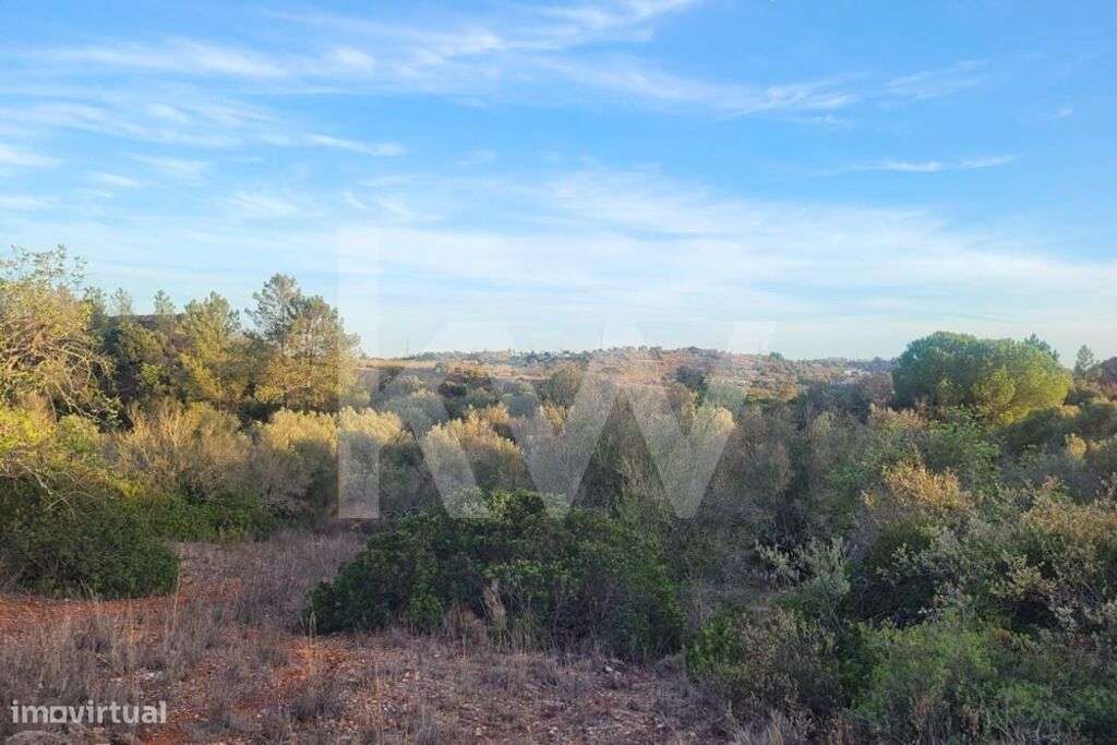 TERRENO RÚSTICO NO CERRO DE SÃO VICENTE EM PADERNE-ALBUFEIRA - Grande imagem: 2/8
