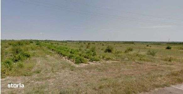 Teren extravilan cota parte 1/3 Cernatesti , ID: R2586146 - Imagine principală: 5/8